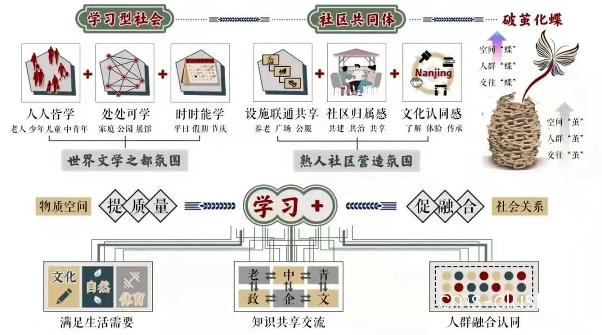 不同水平的参与者