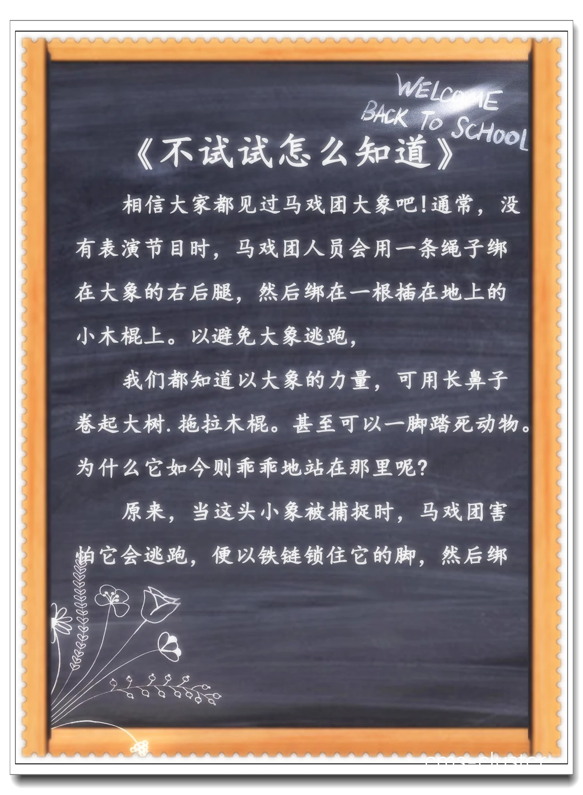 成功案例