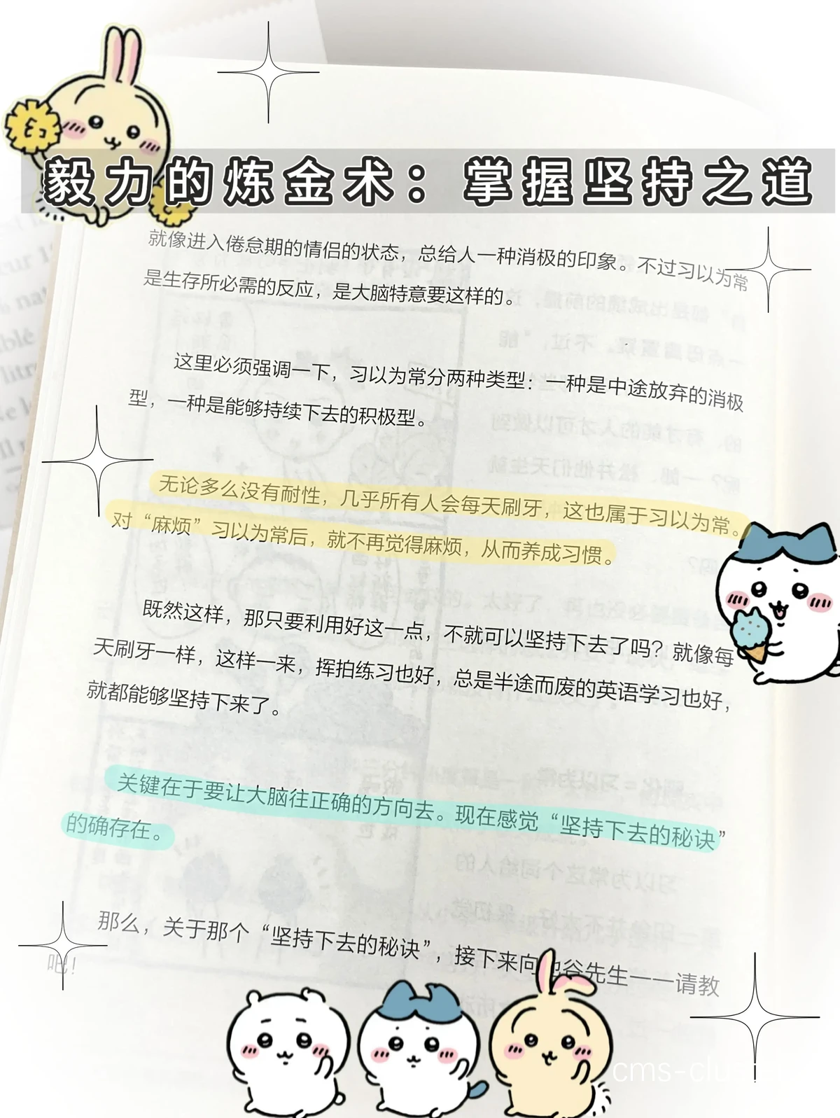 成功训练案例
