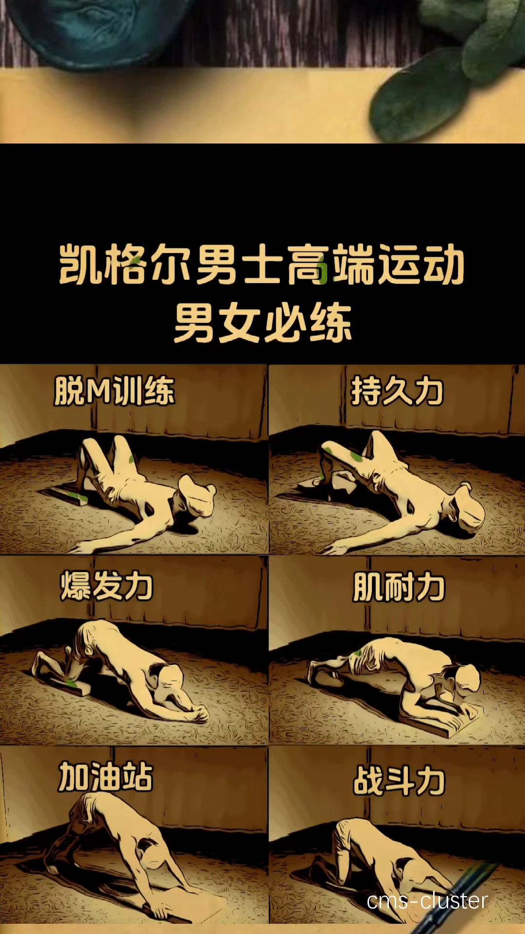 传统体能训练