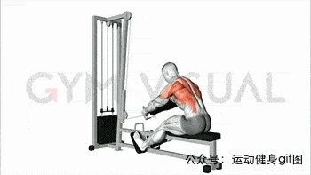 动态调整训练计划