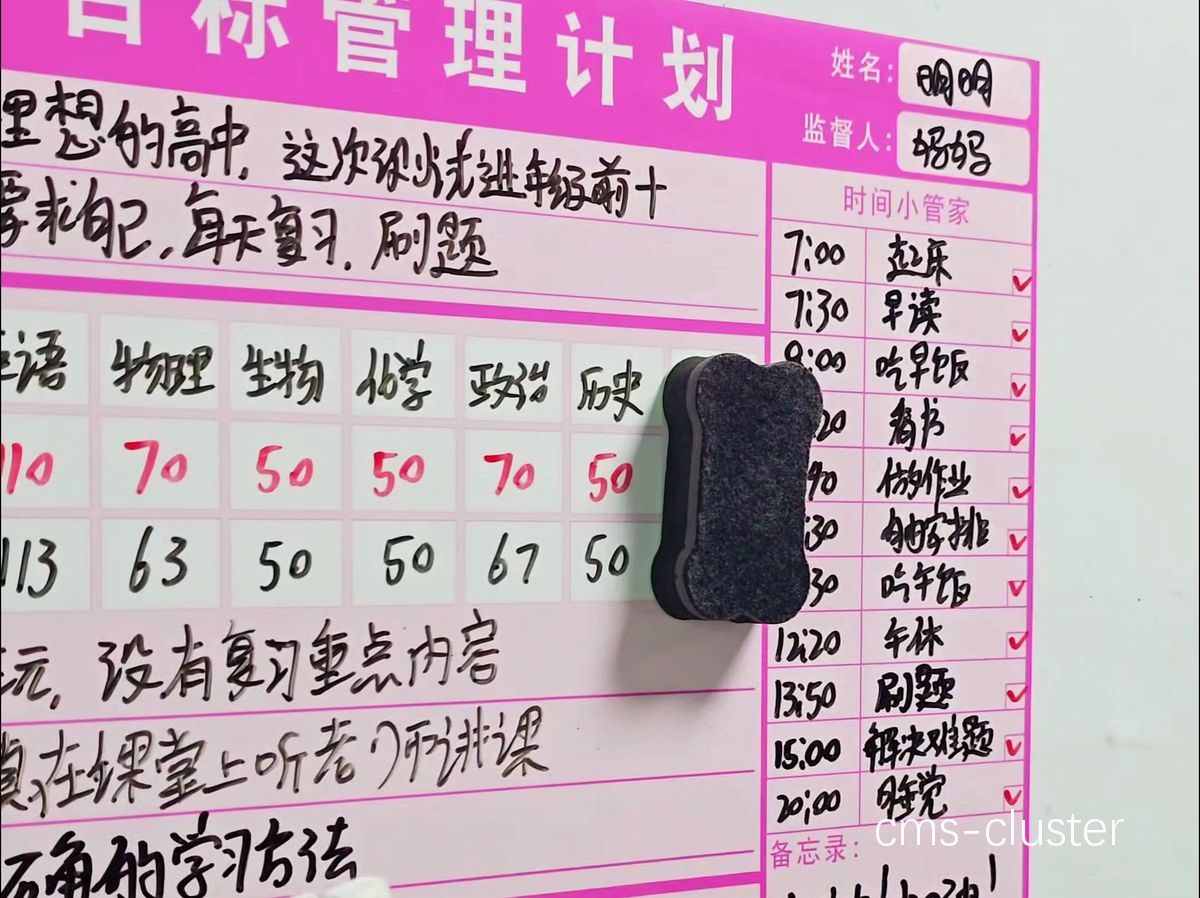 目标设定示例