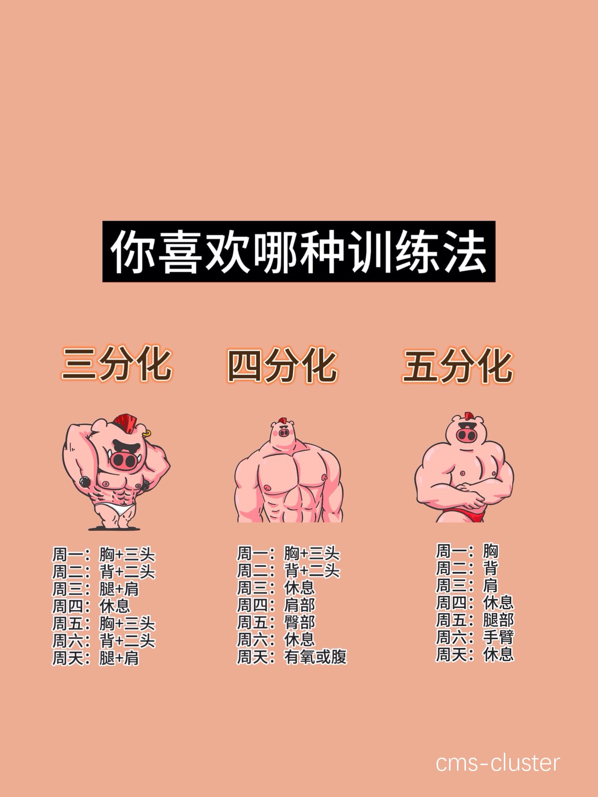 个性化训练方案示意图