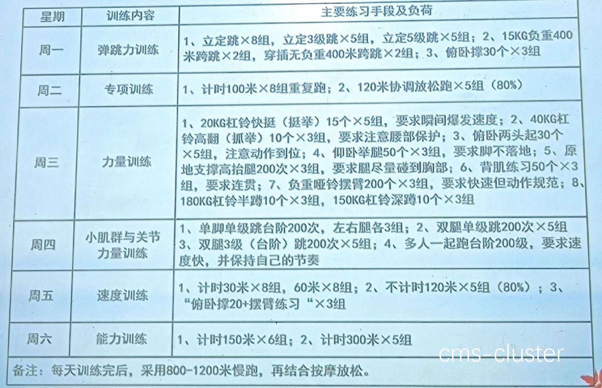 个性化训练计划示例