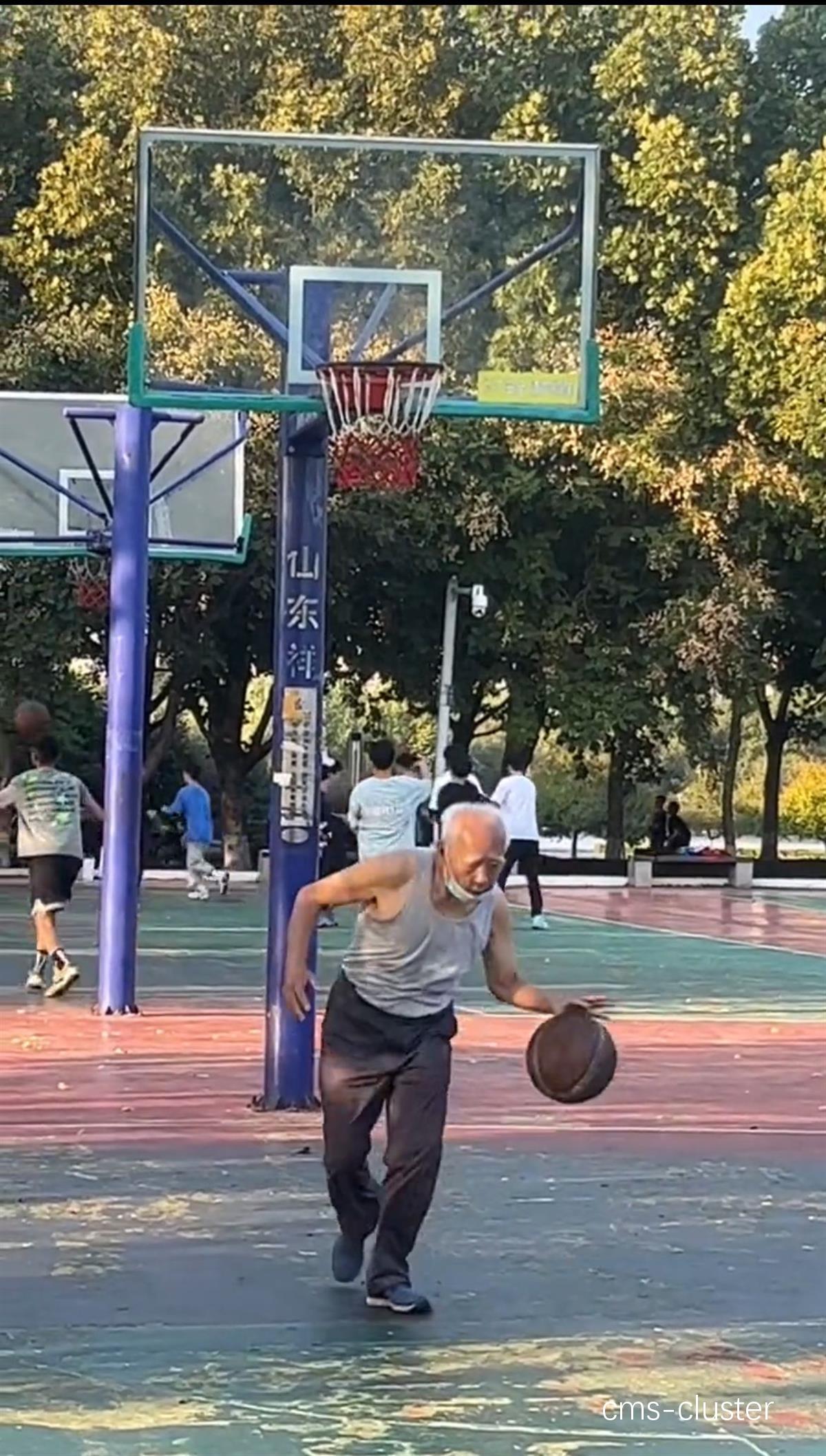 功能性训练中的核心力量练习