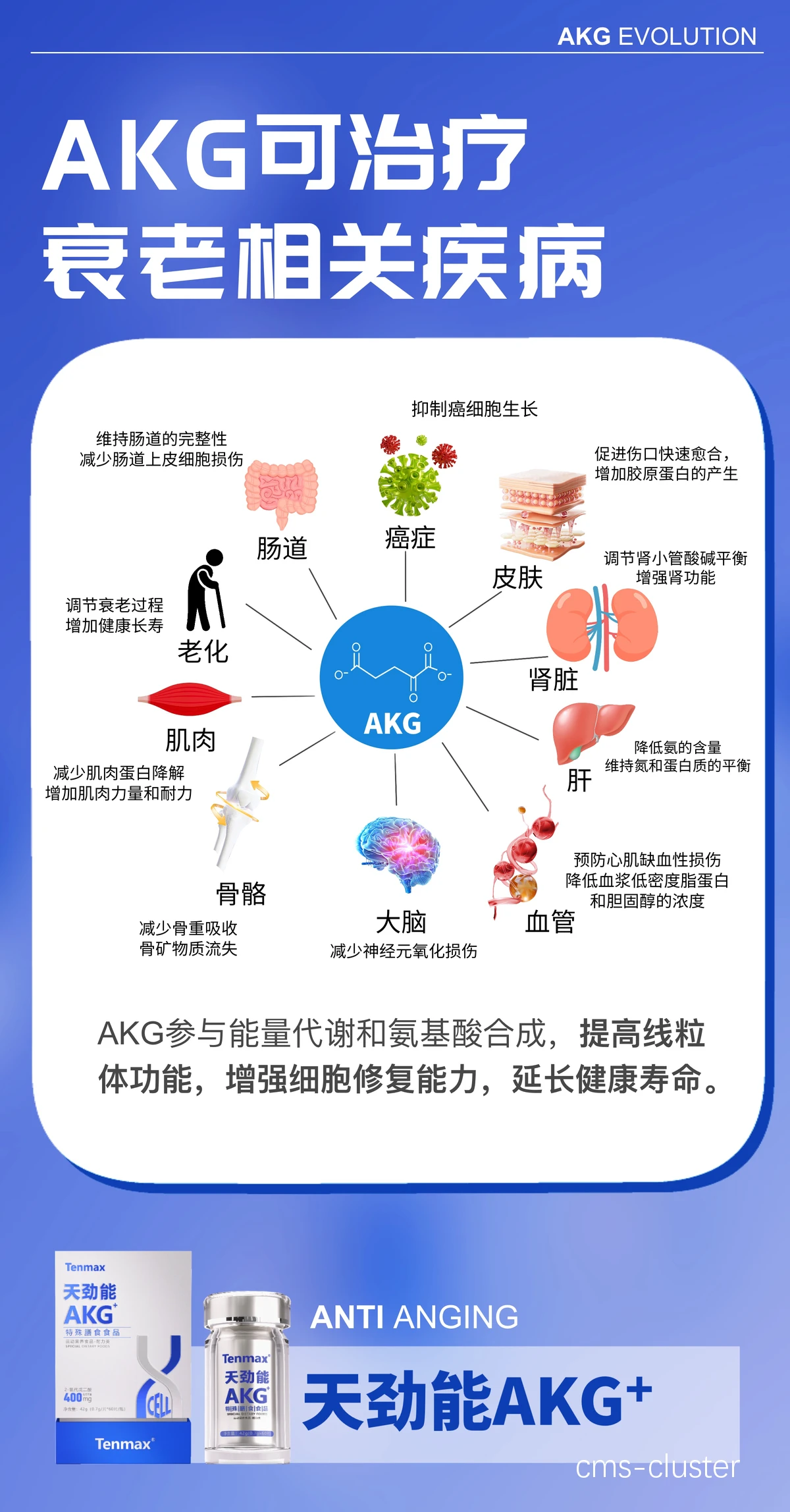 恢复与营养