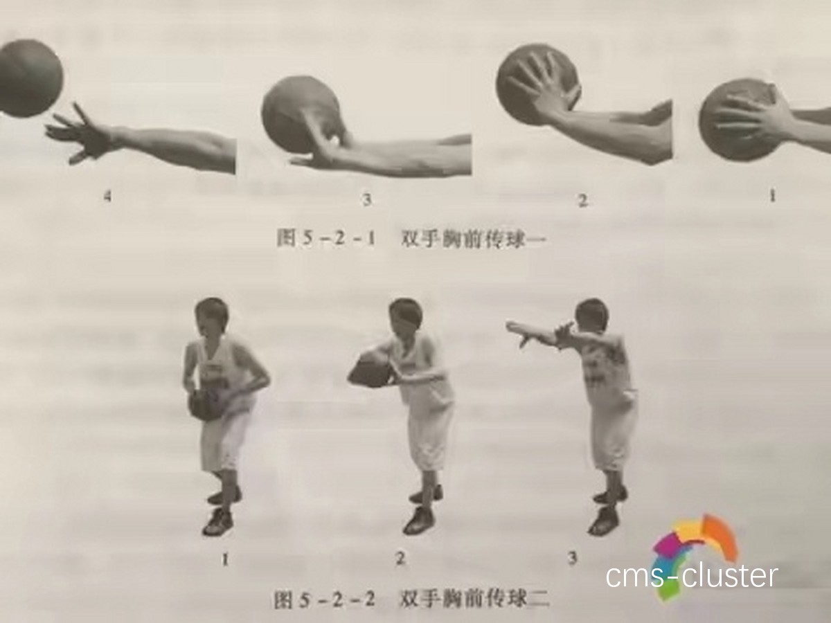 基础训练示意图