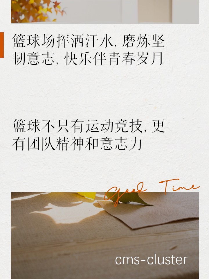 坚持篮球训练的动力