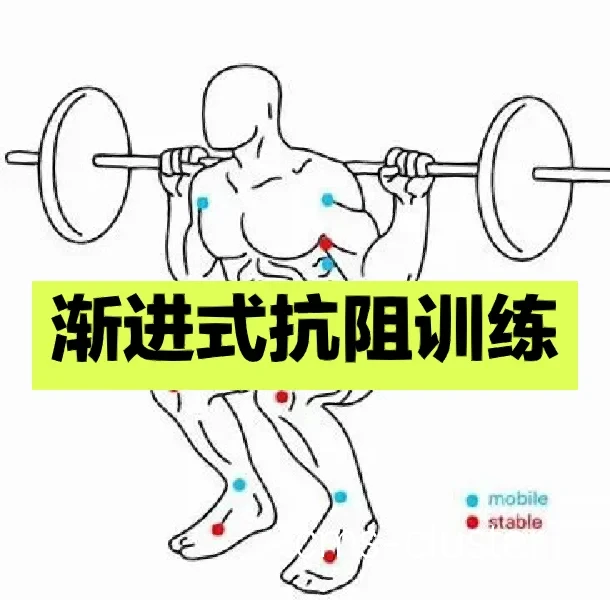 渐进式训练