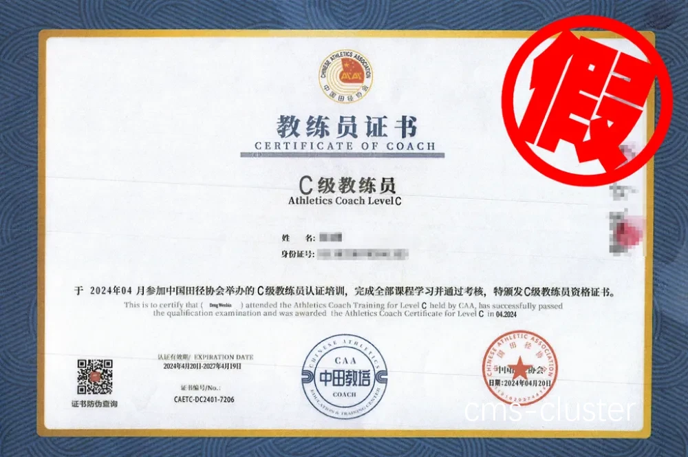 教练资质示例