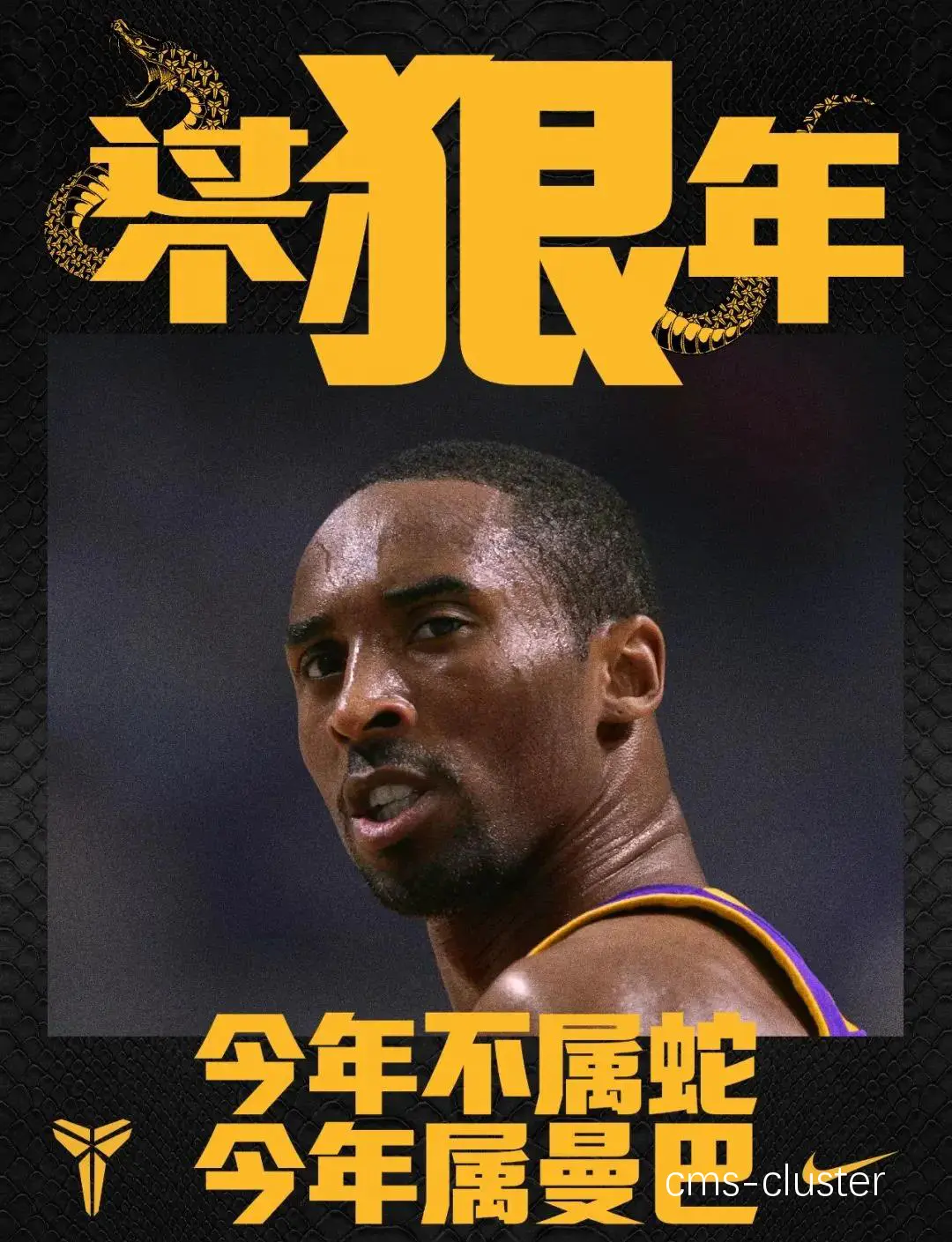 科比训练