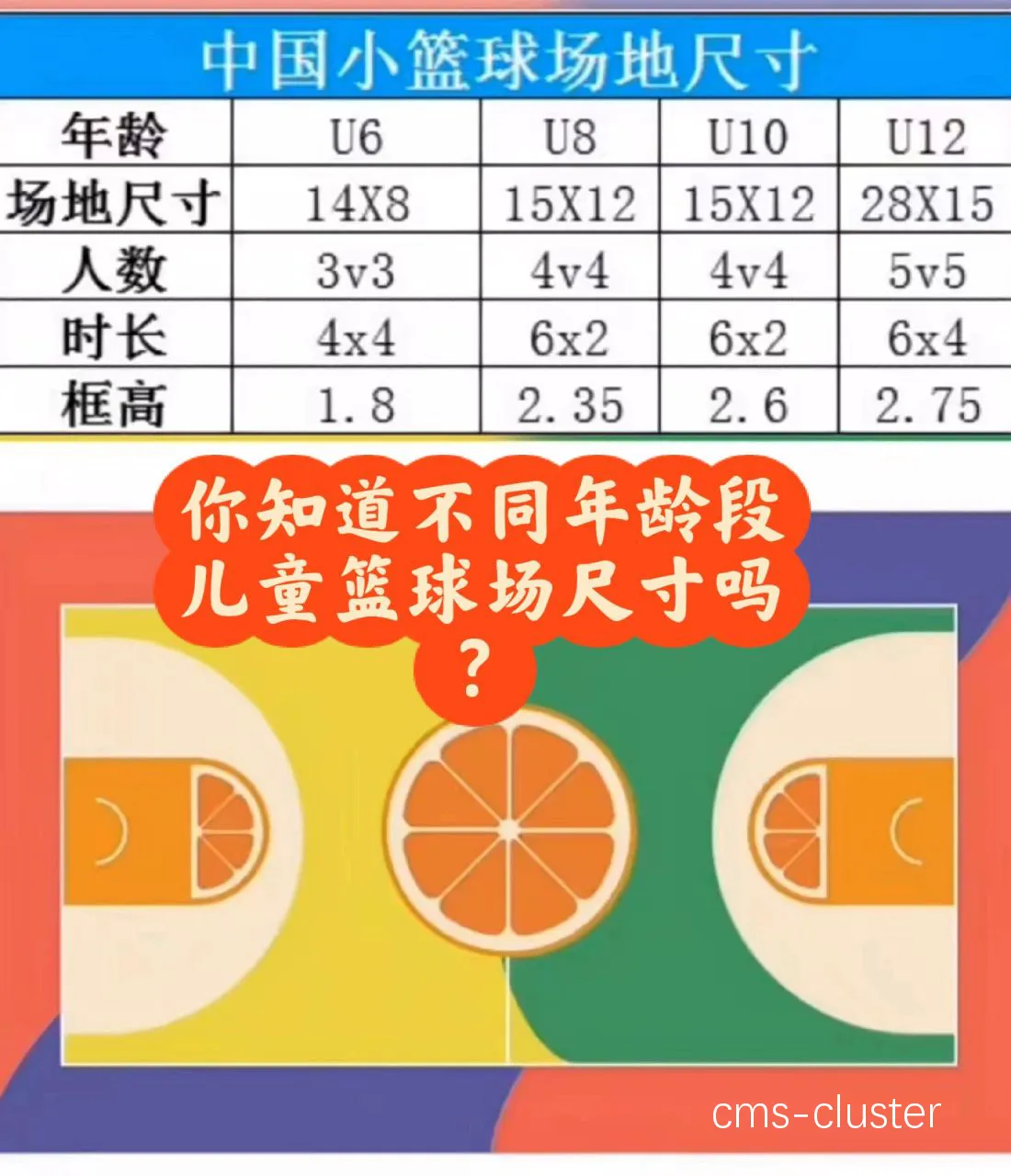 篮球尺寸对比