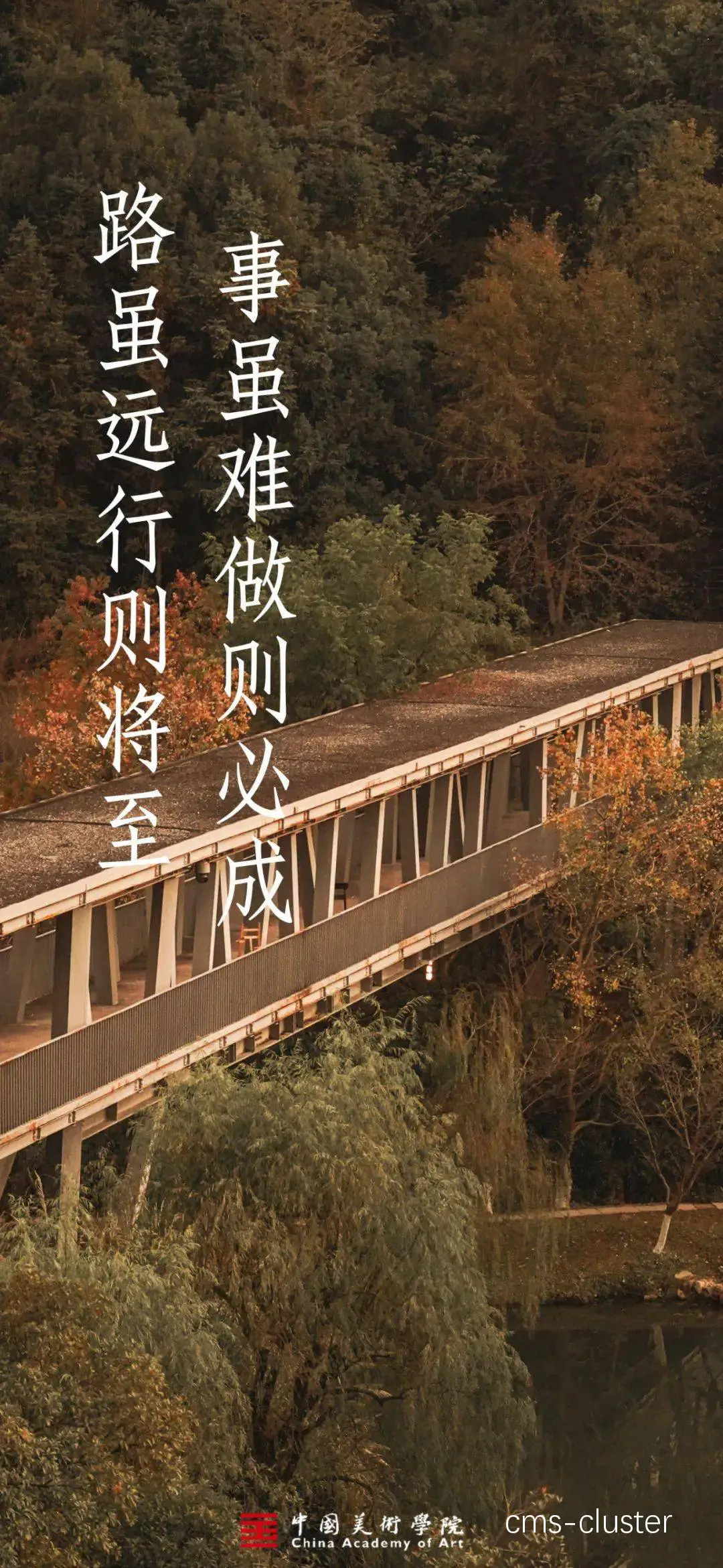 篮球梦想从这里开始