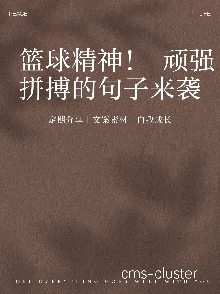 篮球拼搏精神