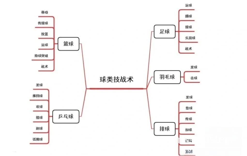 篮球训练