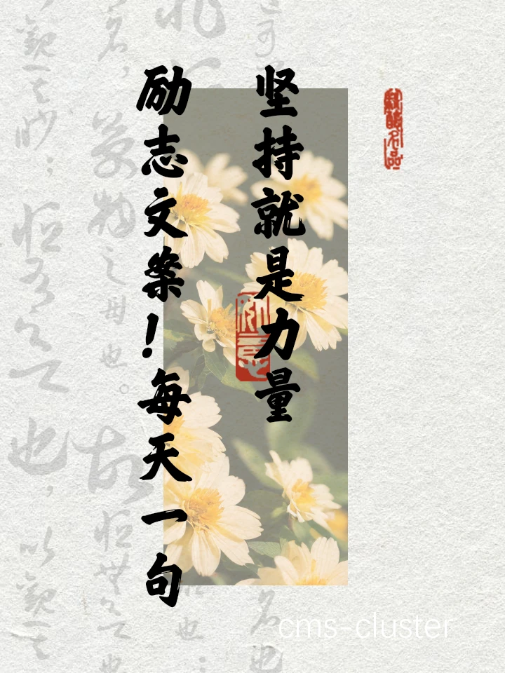 篮球训练成果
