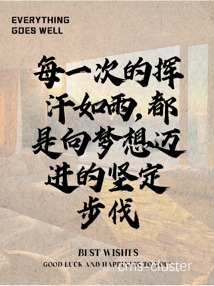 篮球训练成果展示