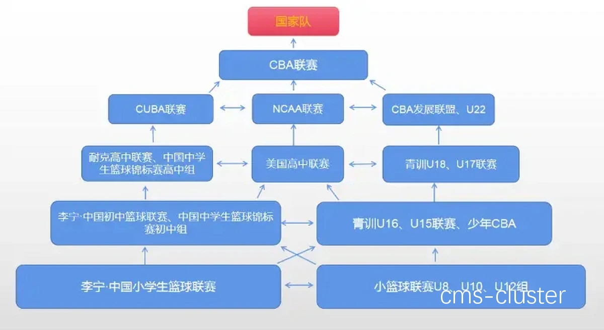篮球训练中的团队协作
