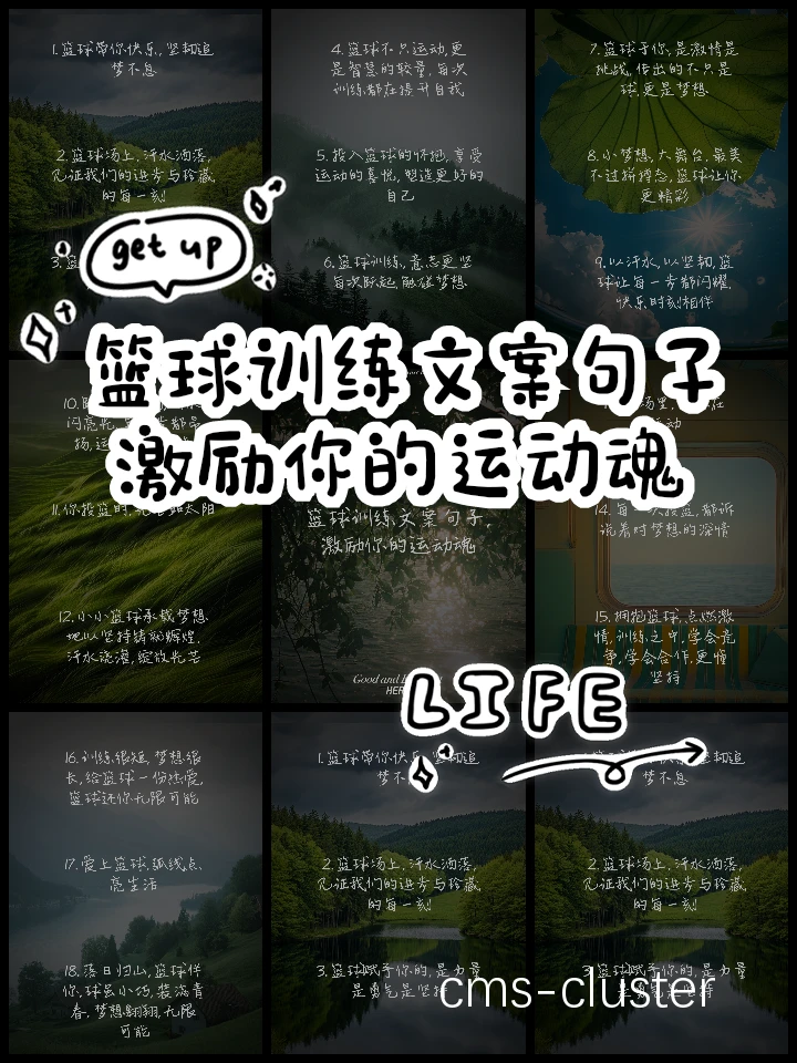篮球训练总结图