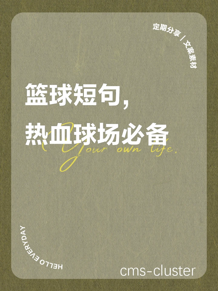 篮球训练总结图