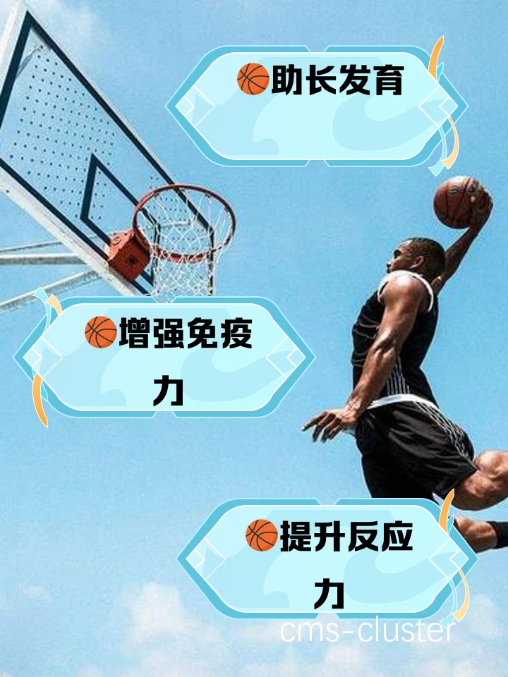 篮球运动的魅力
