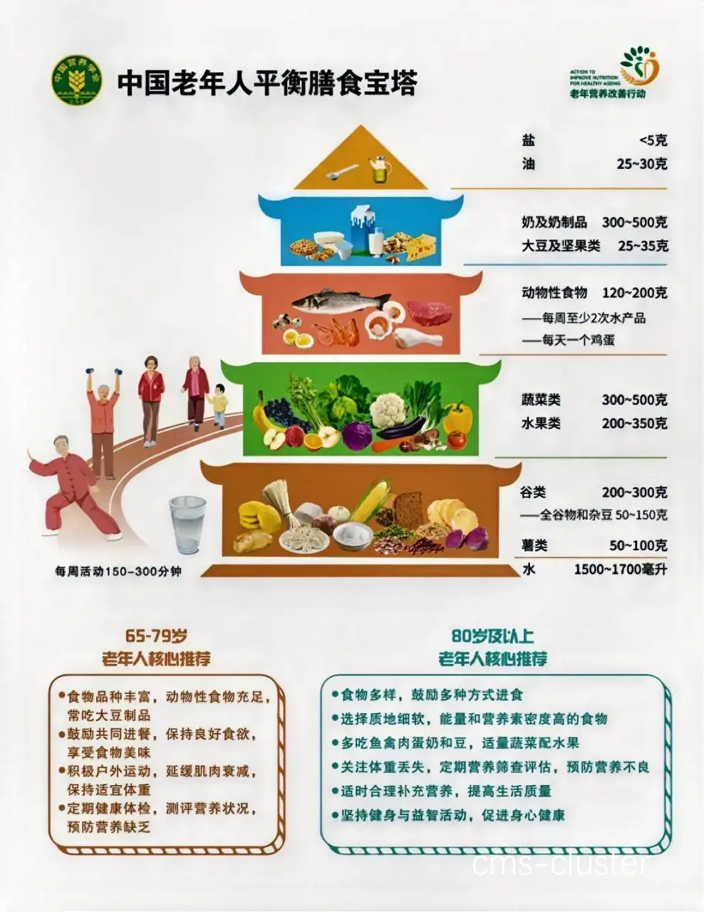 老年人饮食金字塔