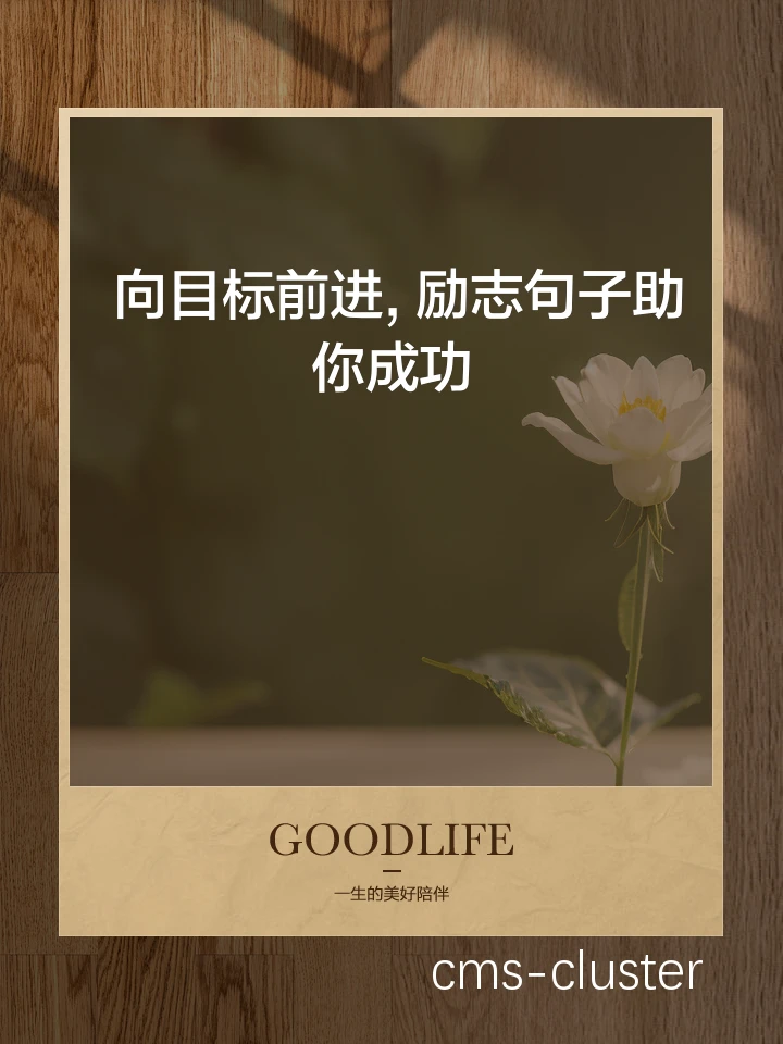 目标导向型激励示例
