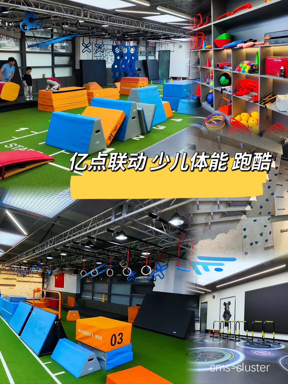 品牌训练营