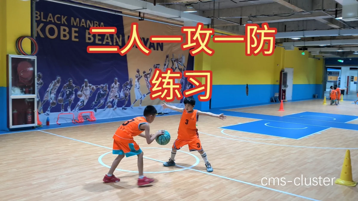 少儿篮球训练