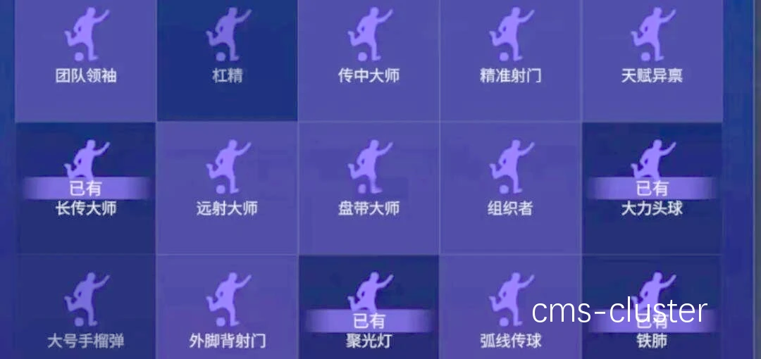 视频分析工具示例