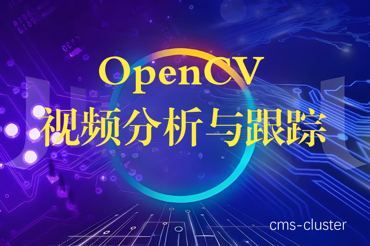 视频分析示例