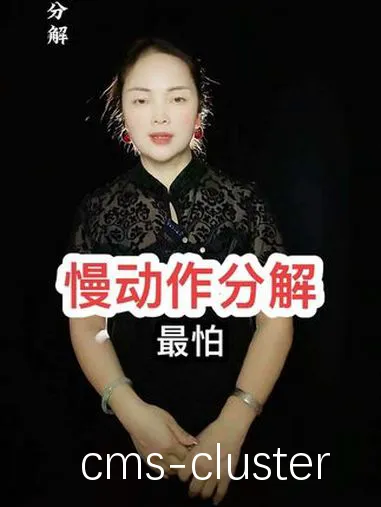 视频教程示例