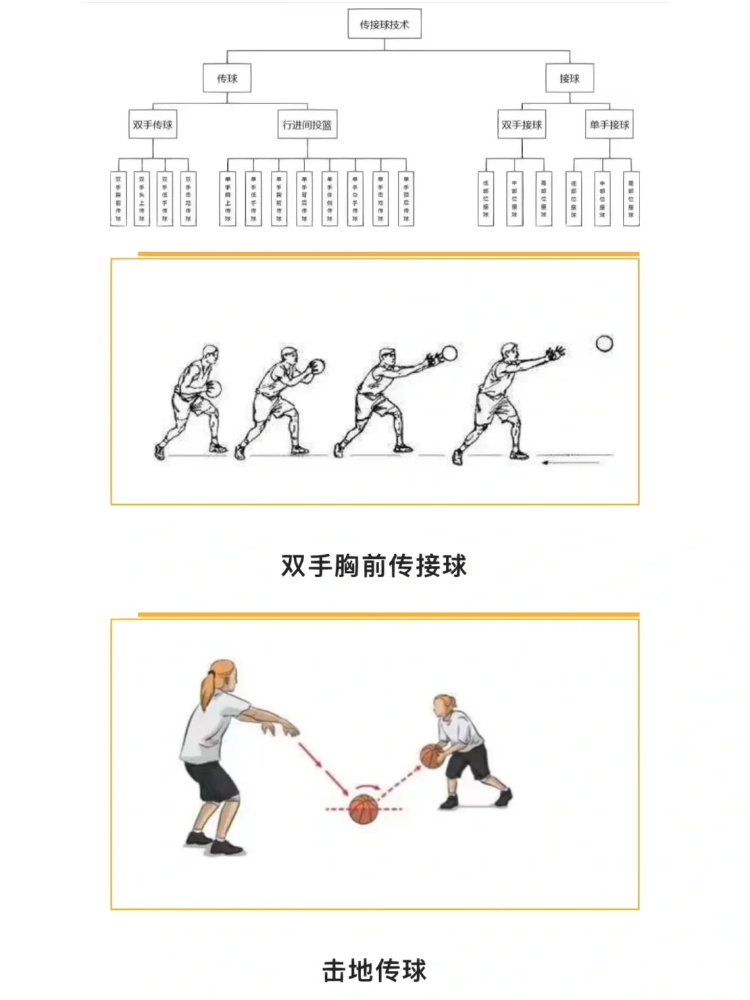 图表展示传球次数