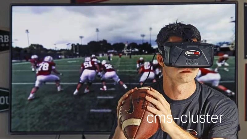 VR 训练示意图