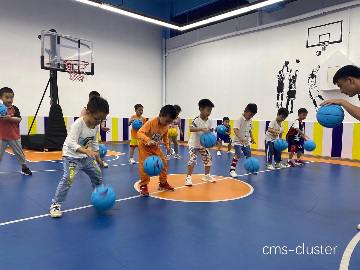小学生篮球训练