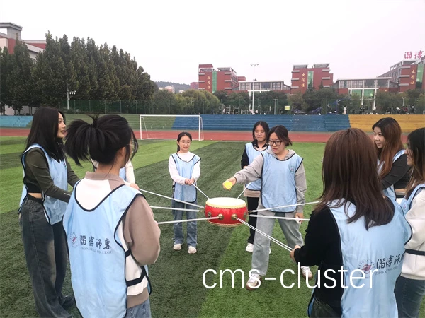 心理训练案例