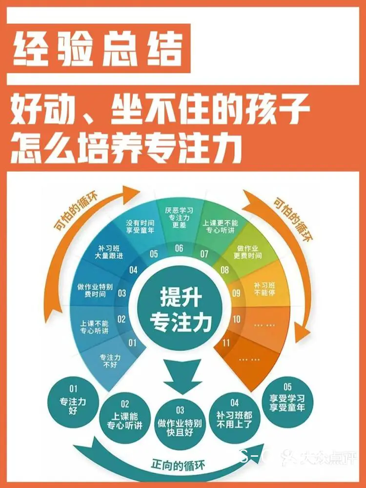 训练时间与专注力关系图
