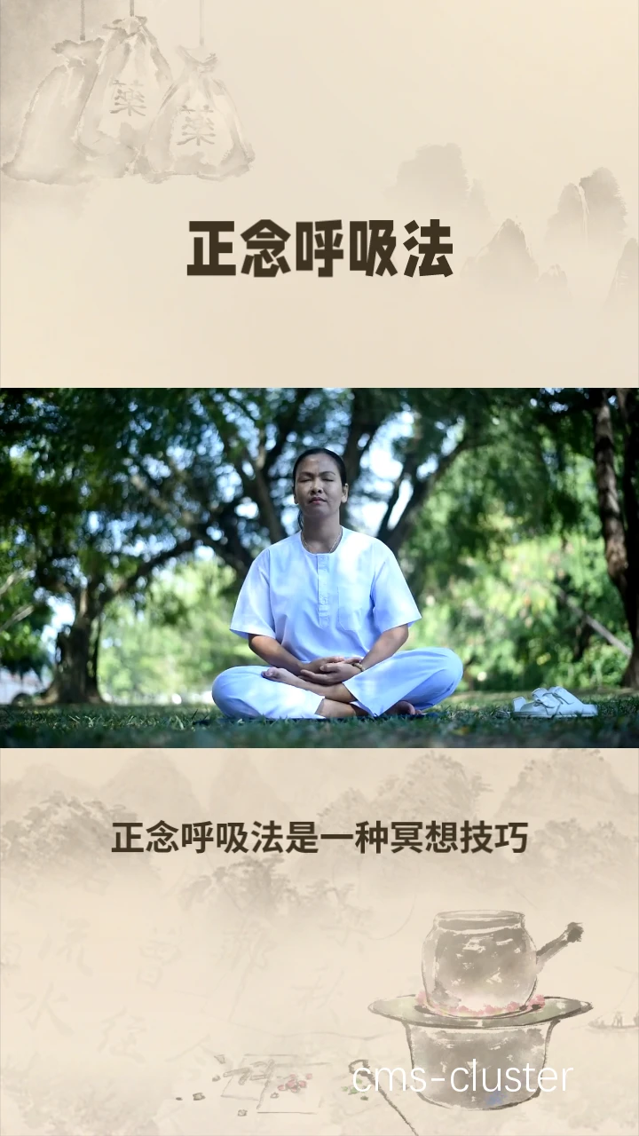 正念冥想与生物反馈训练流程图