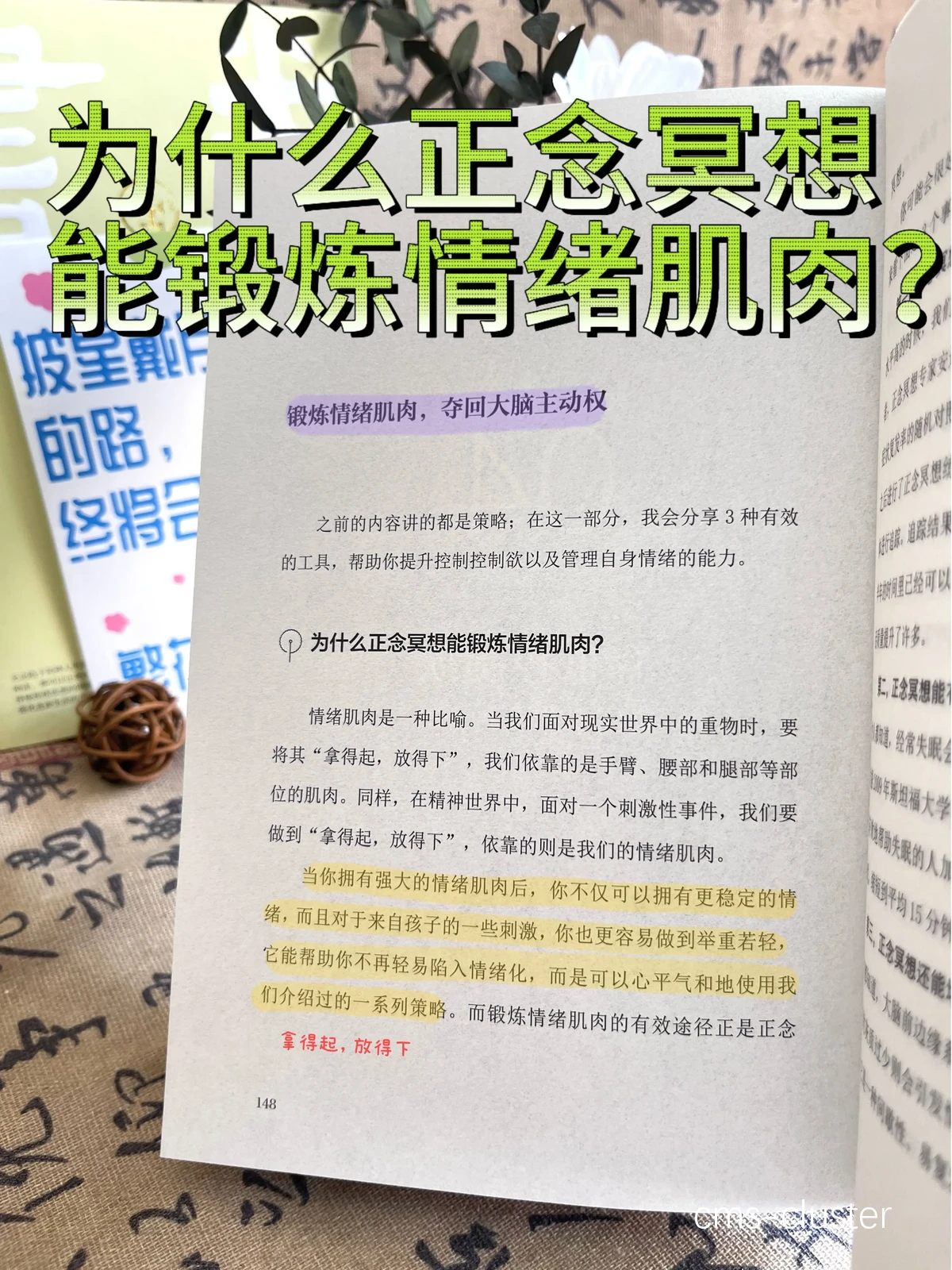 正念训练示意图