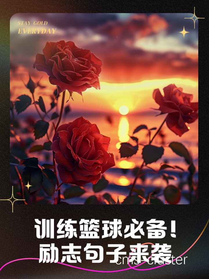 追逐梦想