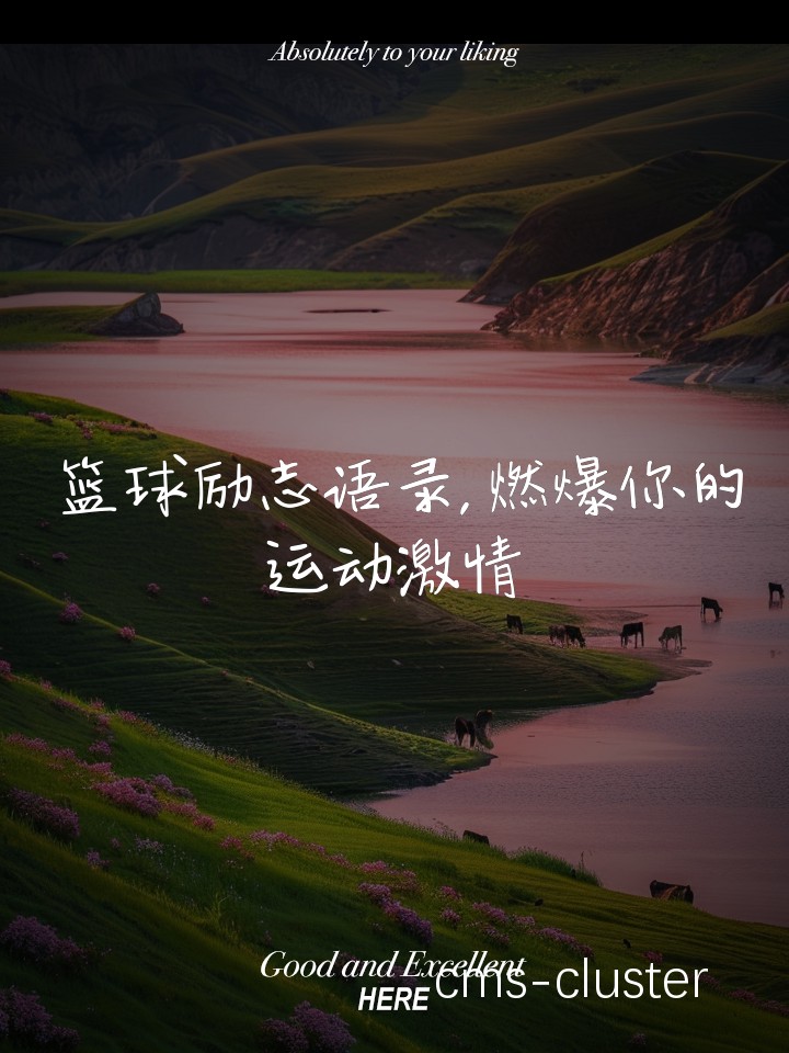 总结与展望