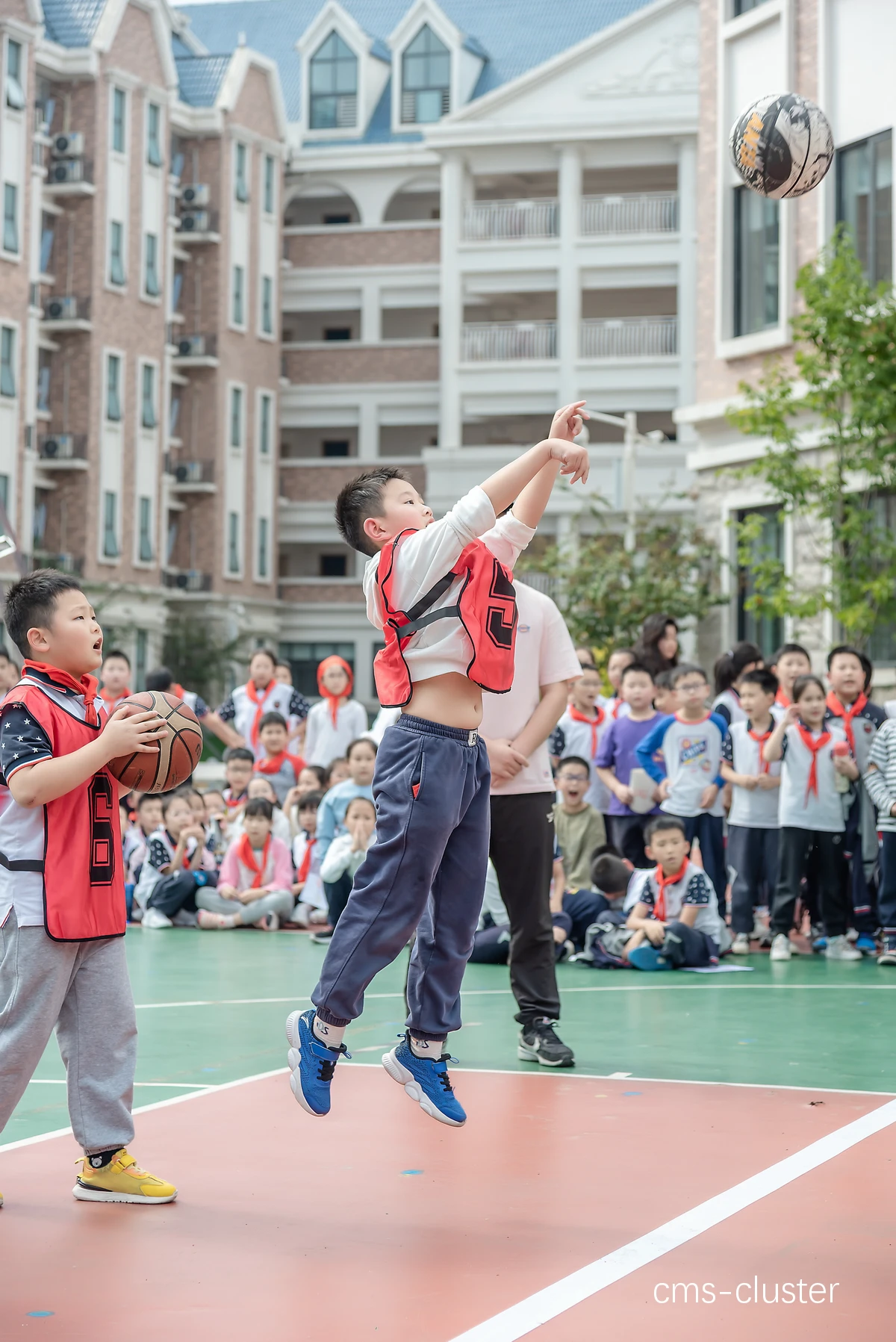 案例截图