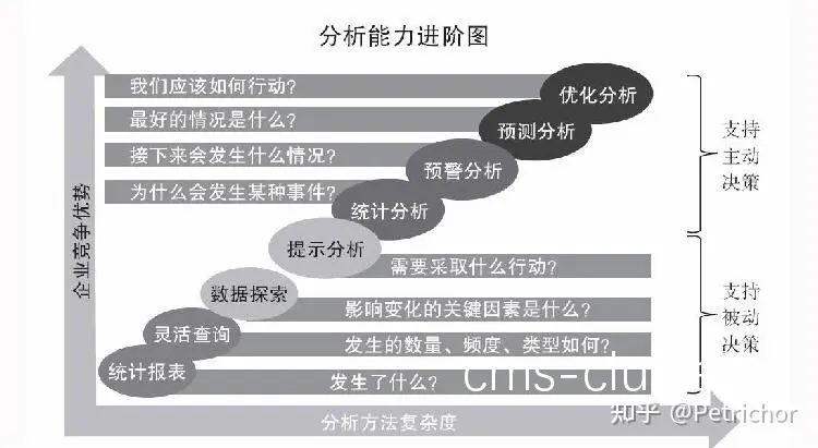 布里安娜·斯图尔特的数据分析