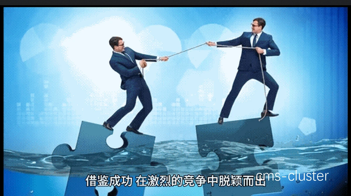 成功案例