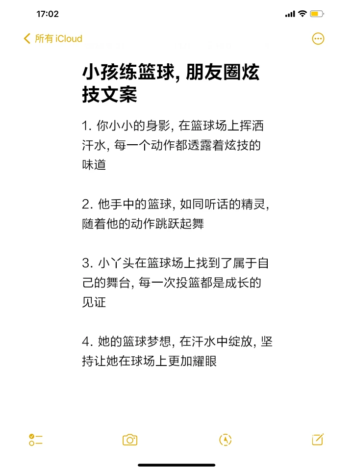 成功案例分析