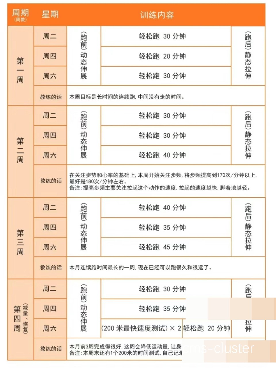初学者训练计划示例