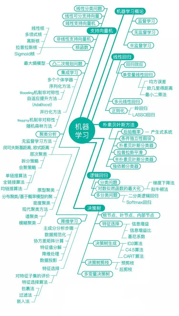 初学者训练计划