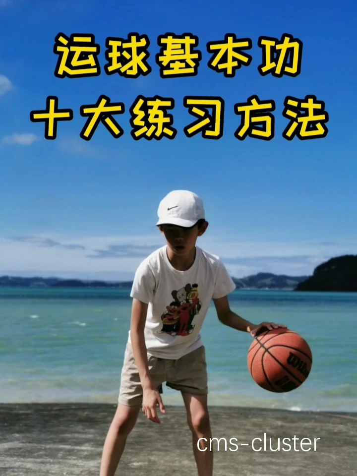 初学者训练示例