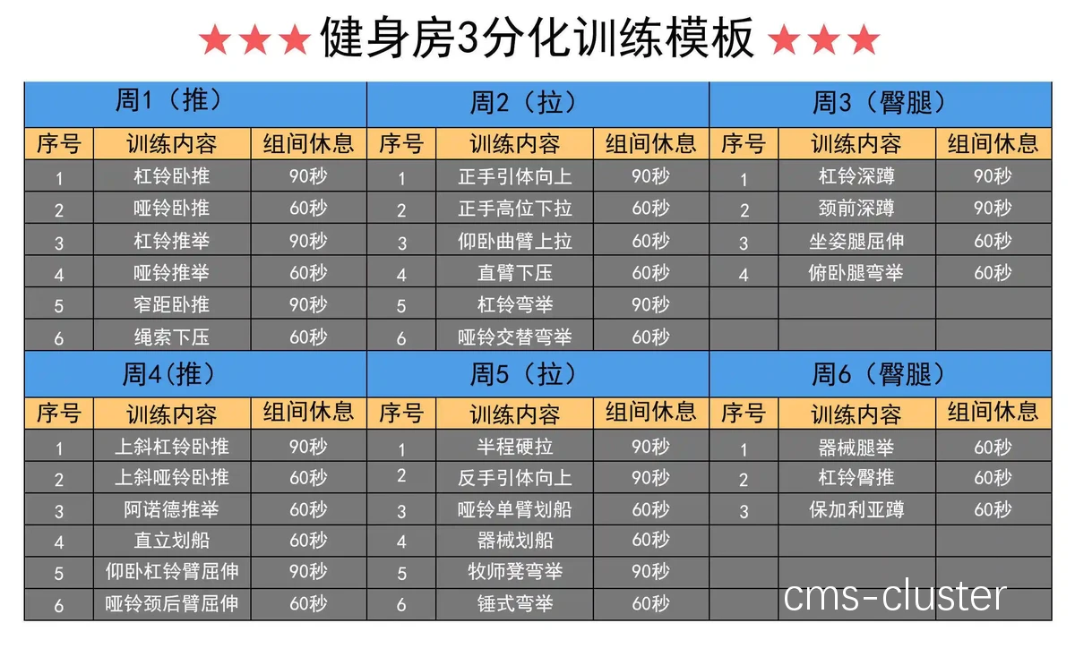 大数据分析助力个性化训练