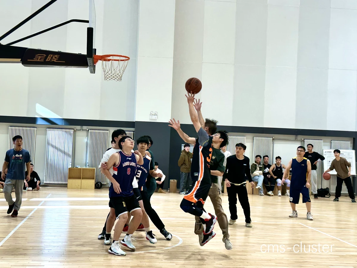 大学生篮球训练